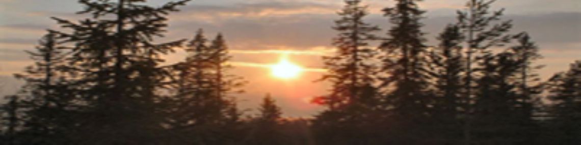 MidnightSun